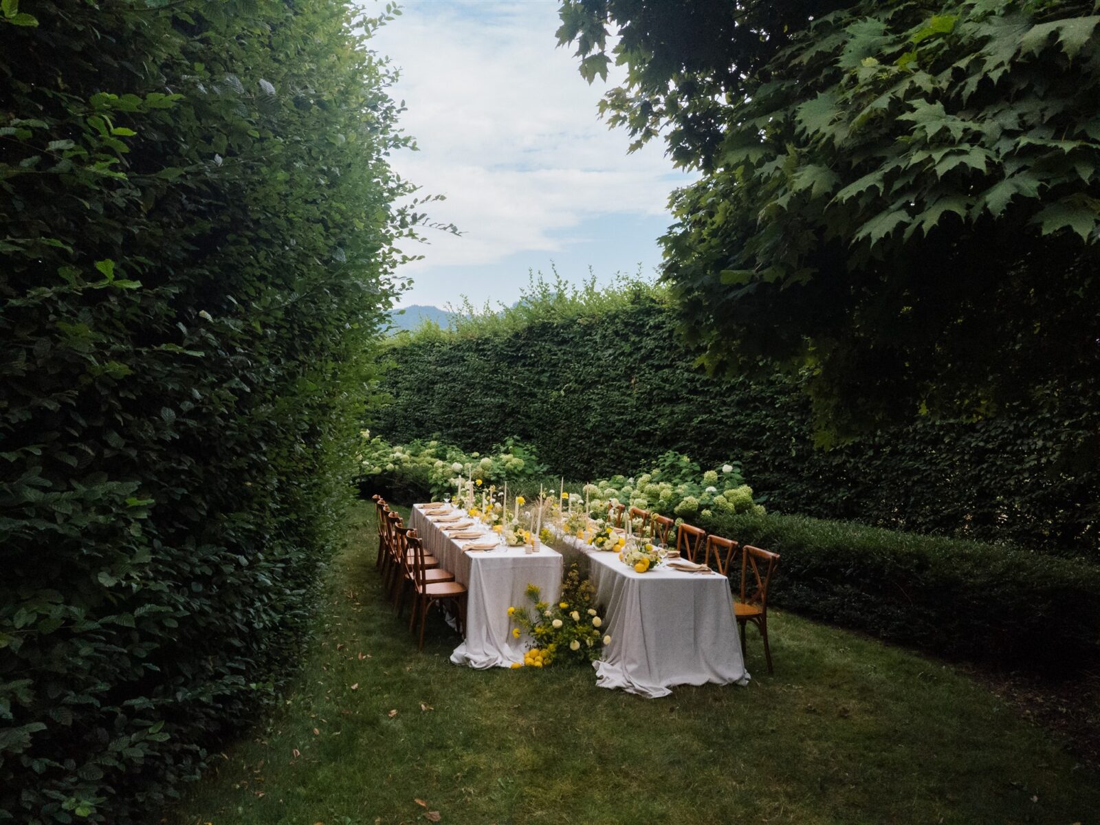 Garden reception table setup with yellow florals and long tables at Briarwood Estate wedding in Washington.