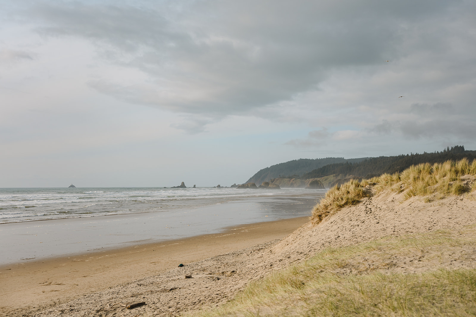 Wide landscape shot of Cannon Beach in March.