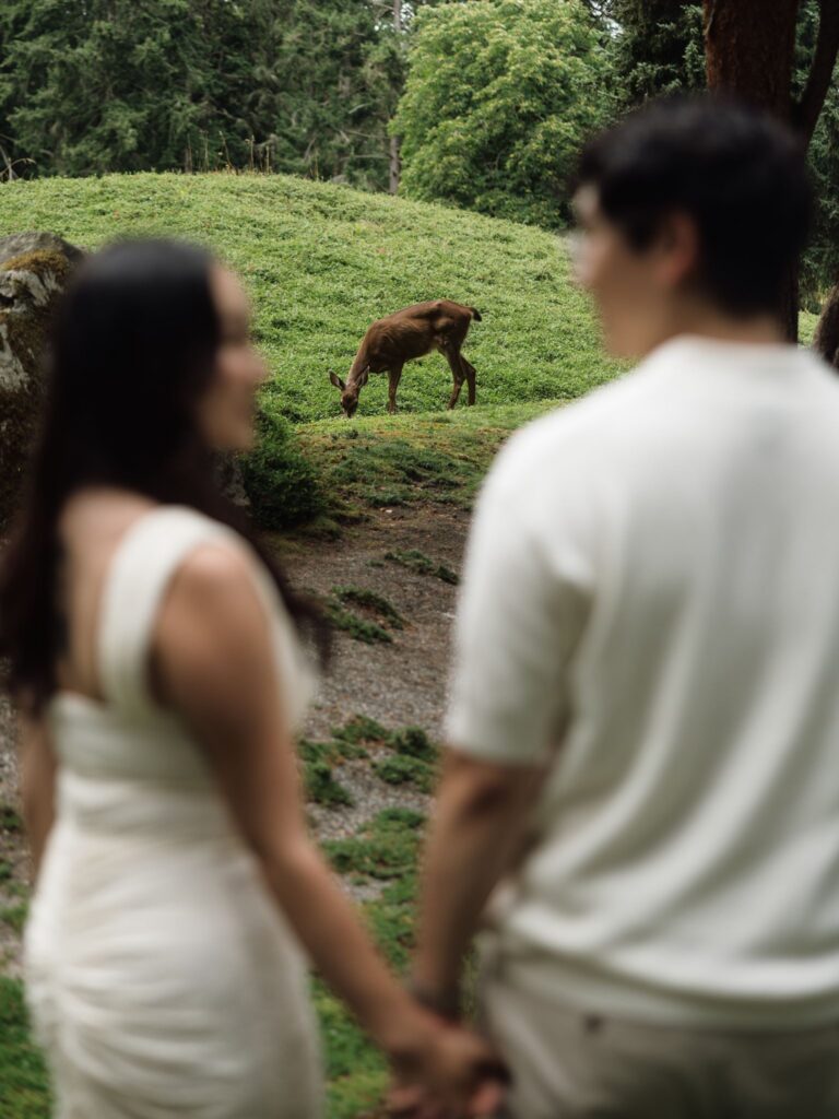 Couple admiring a deer grazing at Bloedel Reserve for their romantic Washington engagement photos.